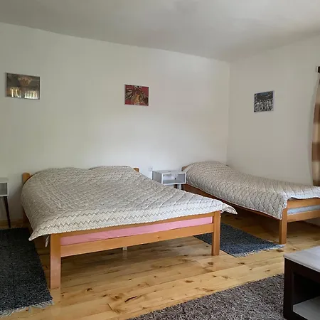 Nikola Dojkinci Pirot