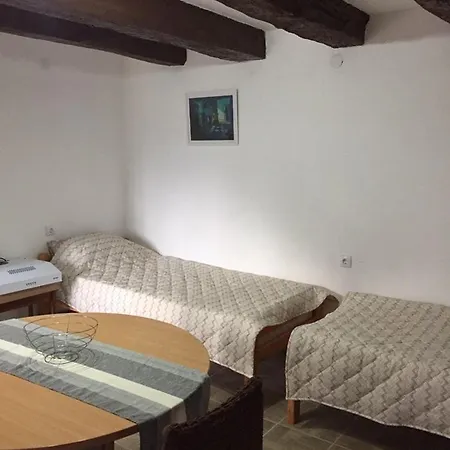 Apartment Nikola Dojkinci Pirot