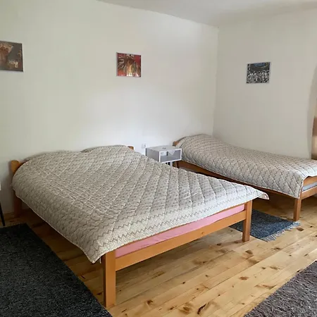 Nikola Dojkinci Pirot