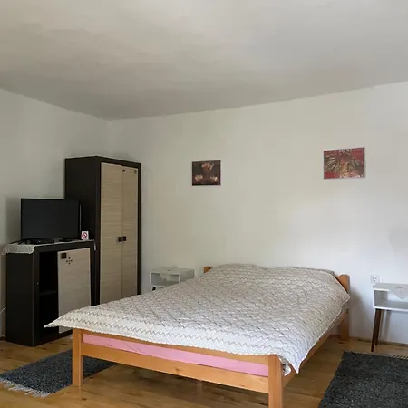 Apartment Nikola Dojkinci