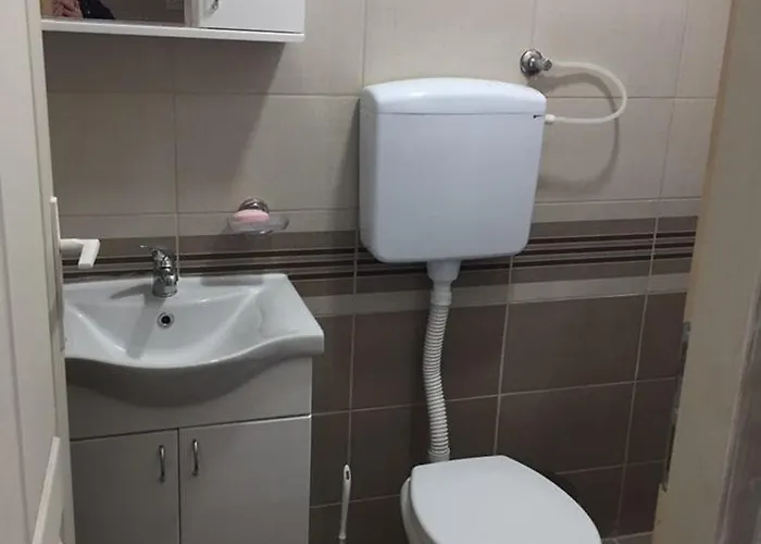 Nikola Dojkinci * Pirot