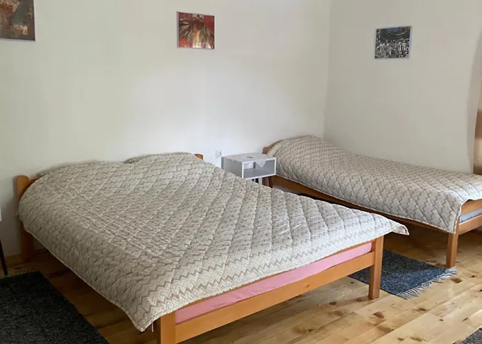 Nikola Dojkinci Pirot