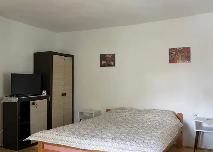 Apartman Nikola Dojkinci
